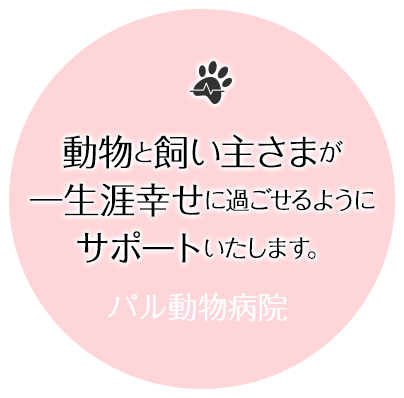 動物と飼い主さまが一生涯幸せに過ごせるようにサポートいたします。