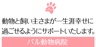 動物と飼い主さまが一生涯幸せに過ごせるようにサポートいたします。